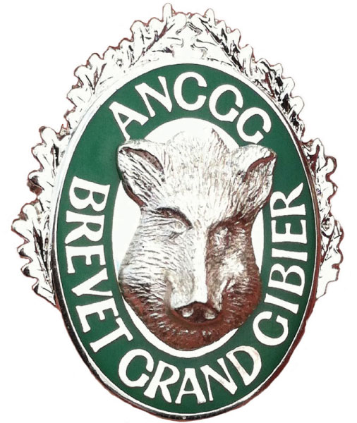 Brevet_Argent_506x600 Brevet_Argent_506x600