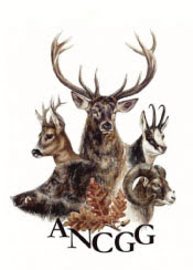 Logo_ANCGG_175x244