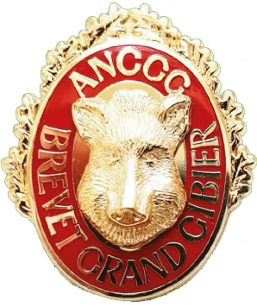 brevet_ARC_506x600 brevet_ARC_506x600