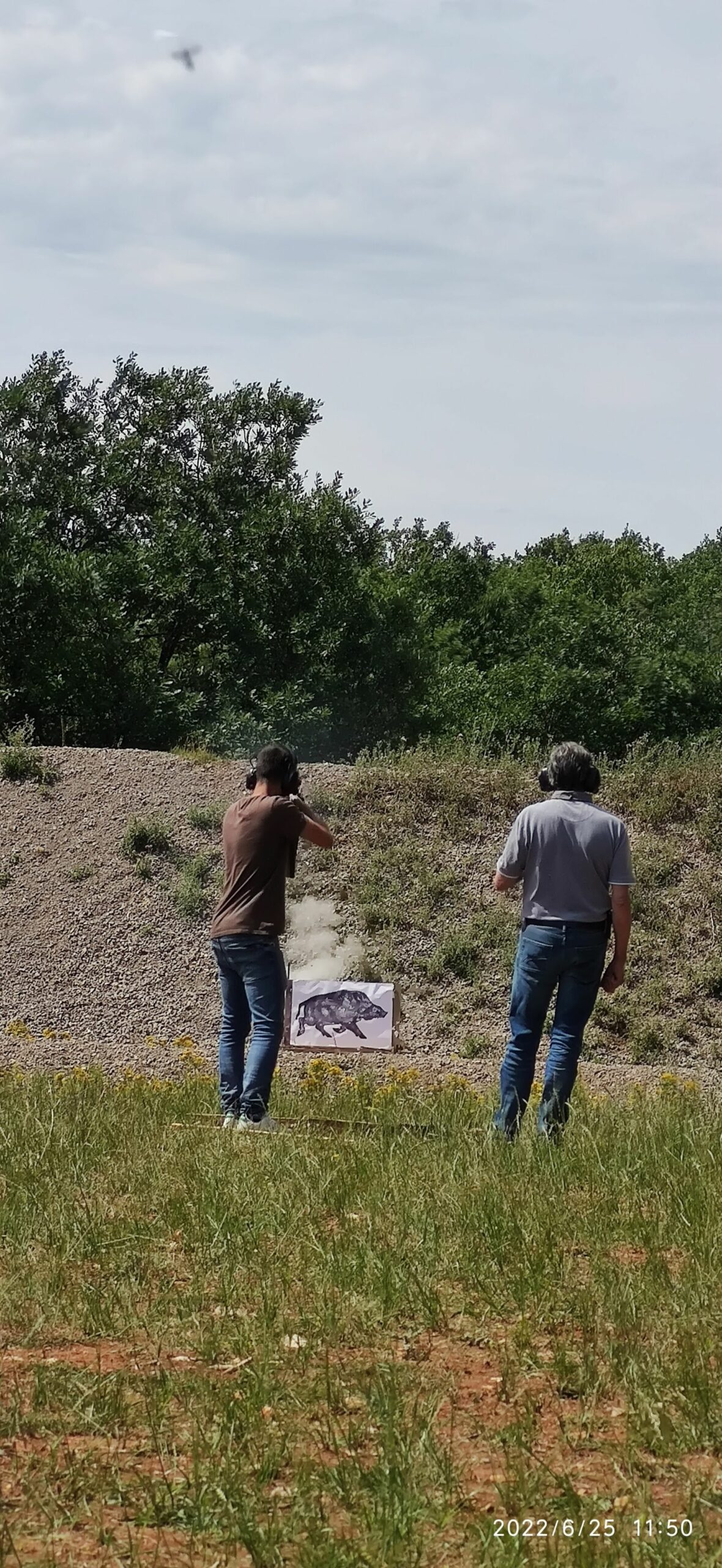 Réglages armes et sangliers courants
