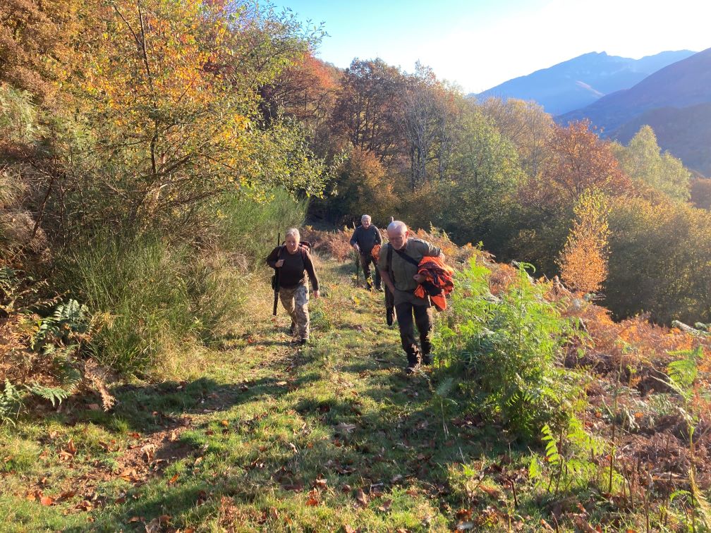 Un Week-end de Chasse au Grand Gibier à Ferrere (65)