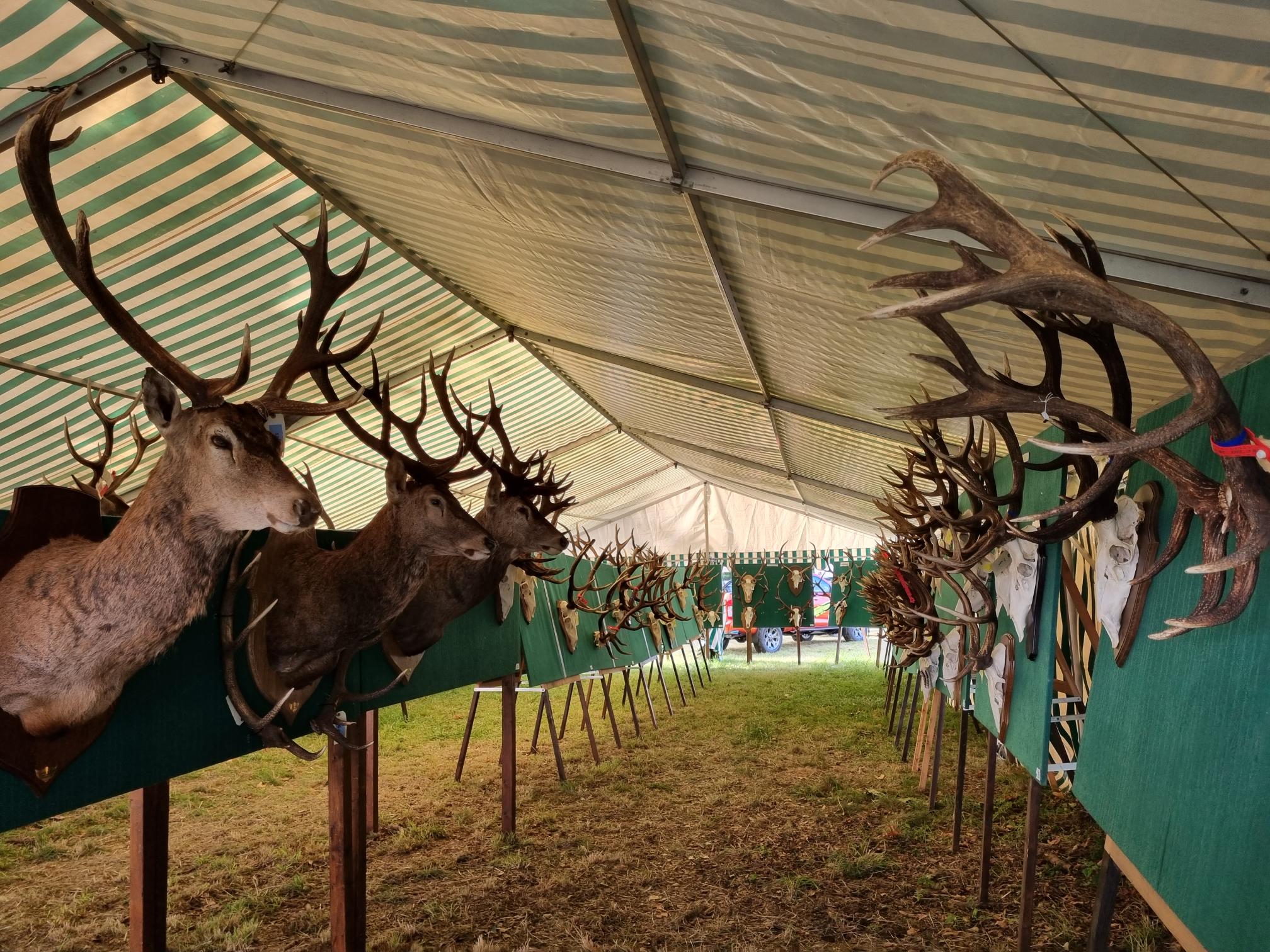 Fête de la Chasse 2023 Château de Maillebois