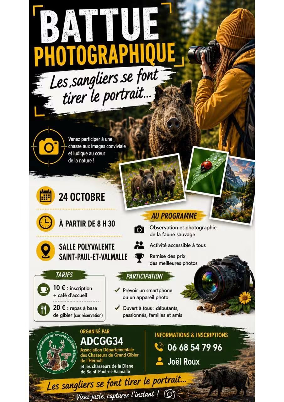 Affiche