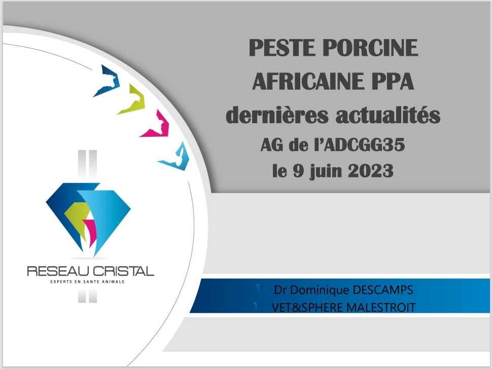 Dernières Actualités sur la Peste Porcine Africaine