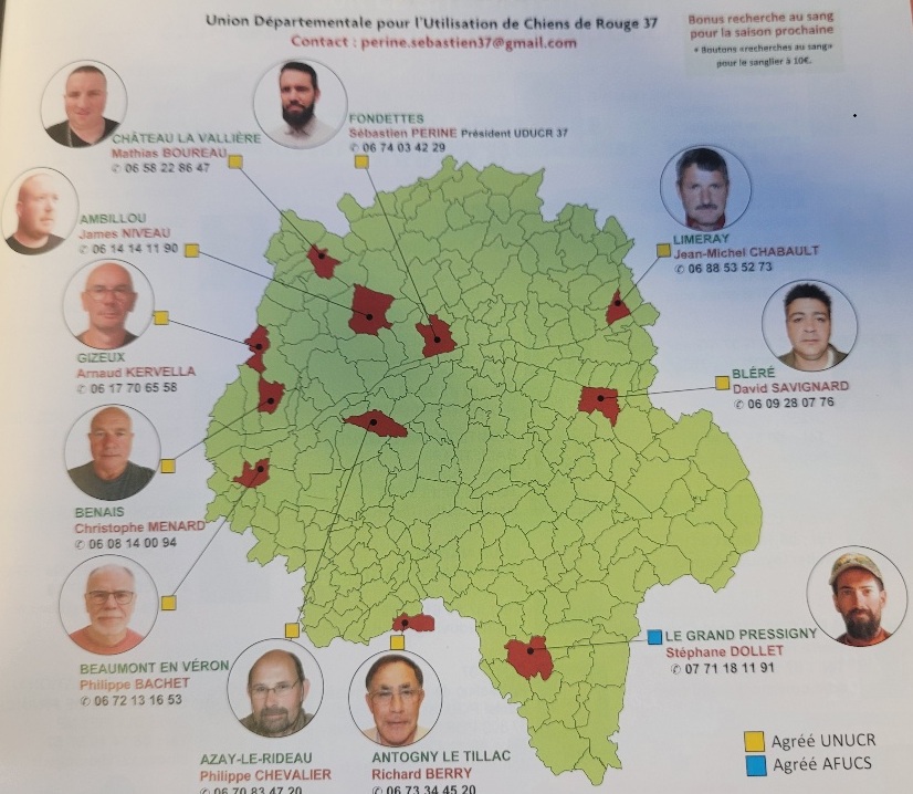Soirée de cotation de trophées de Chevreuil