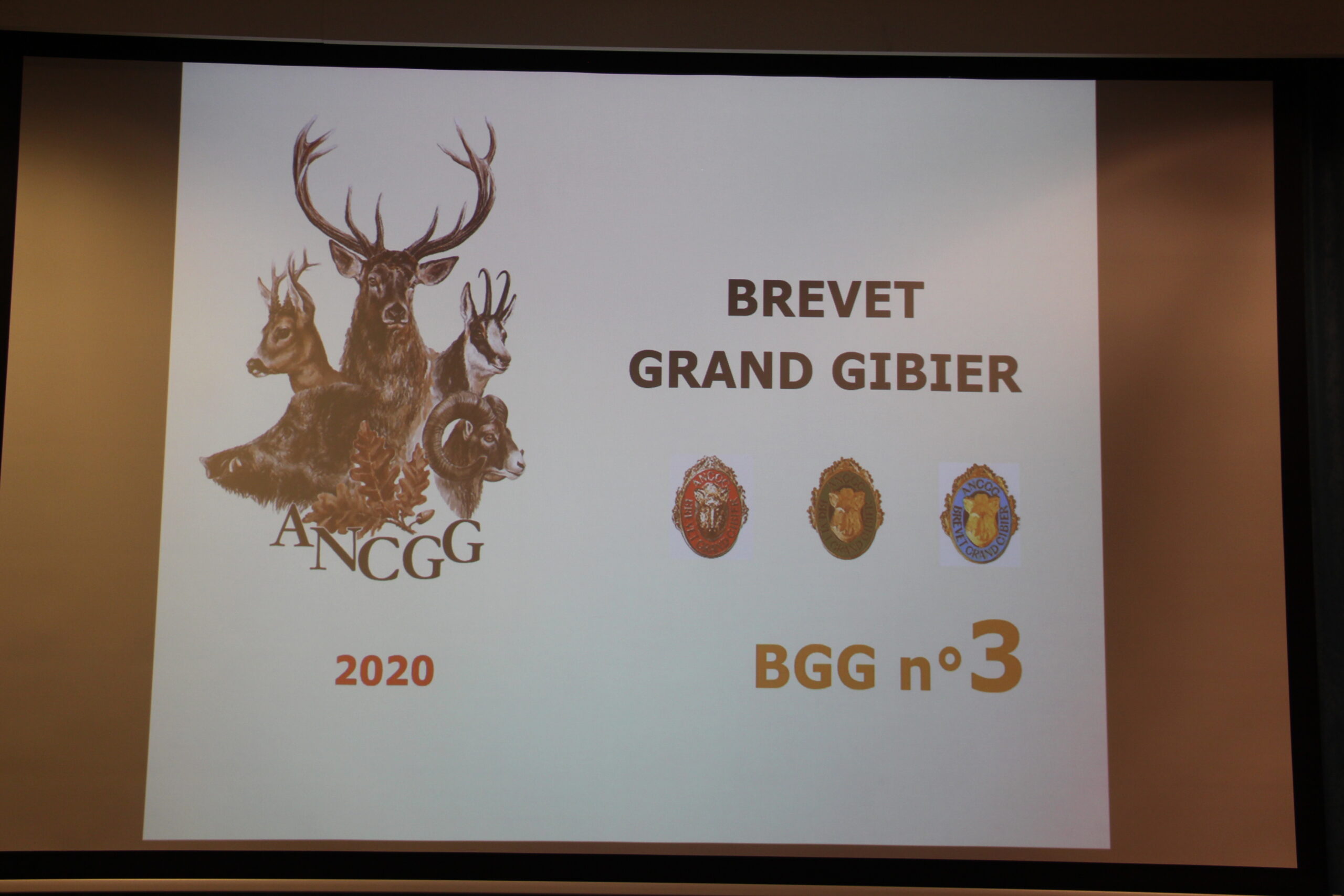 AG 2025