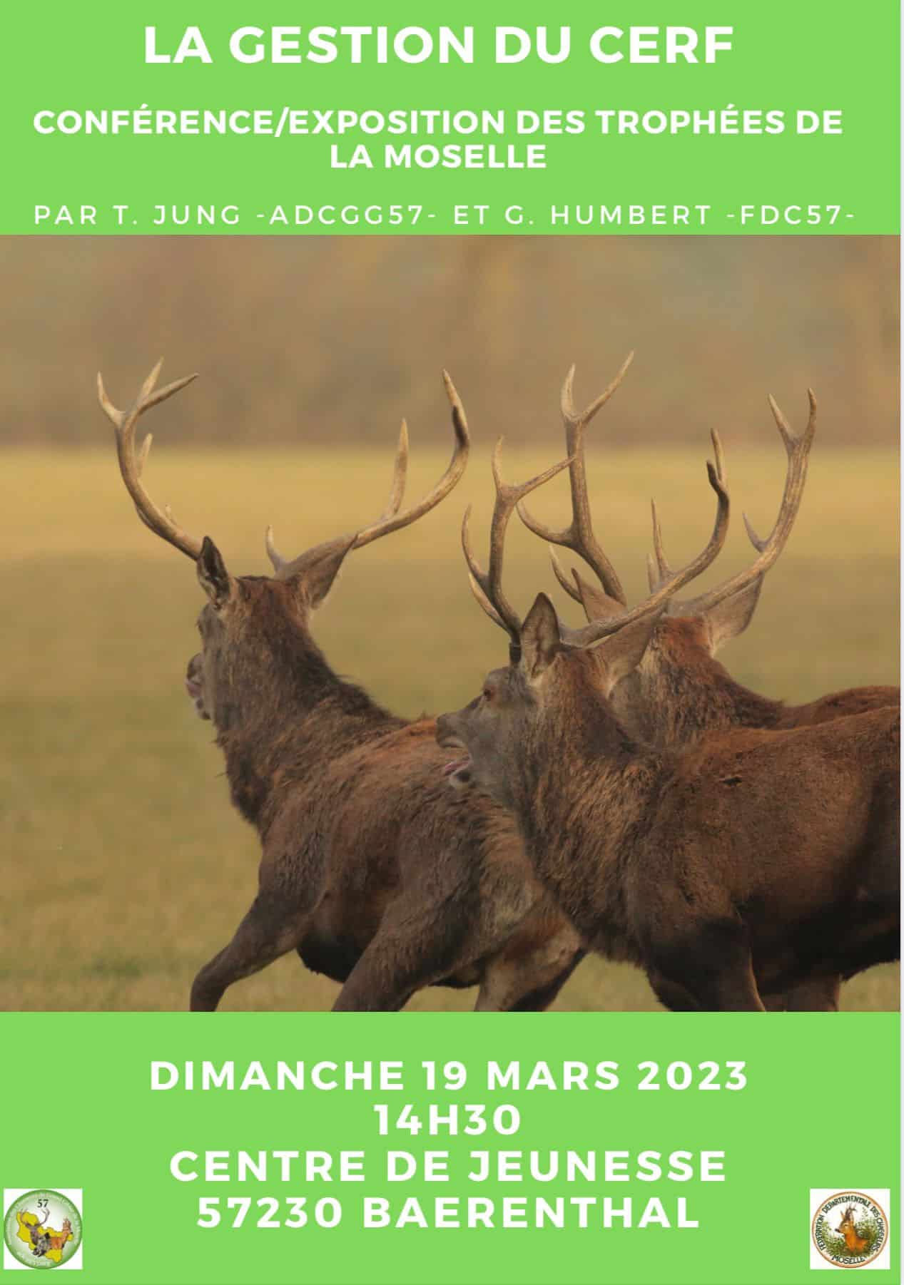 Conférence « La gestion du Cerf »