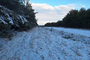 Mourmelon_20240121_091425