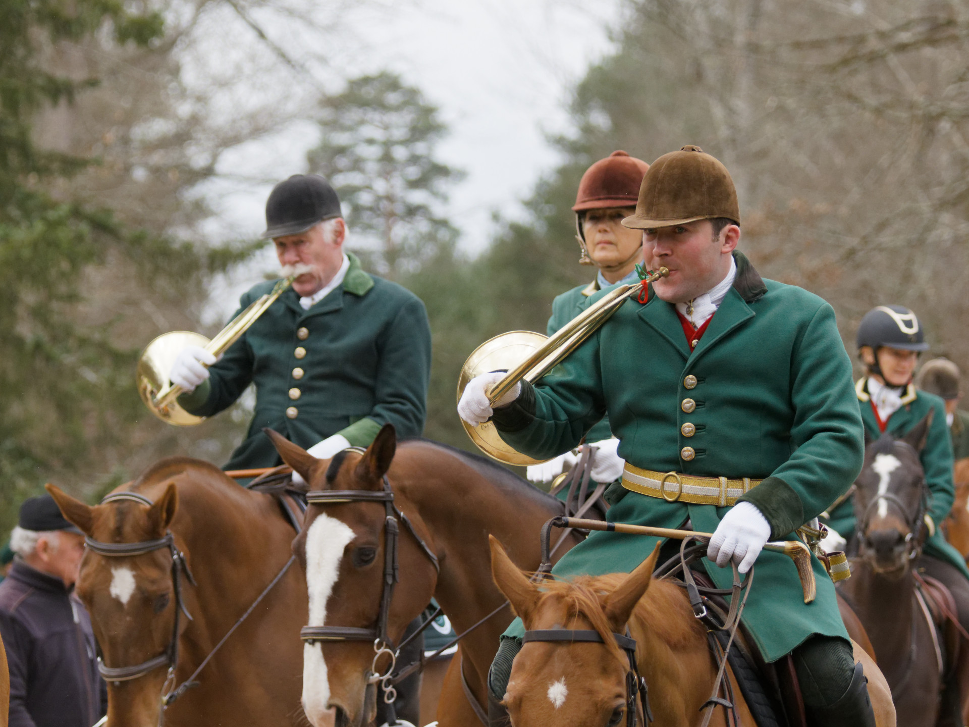 Chasse à courre au cerf en forêt de Tronçais en Allier