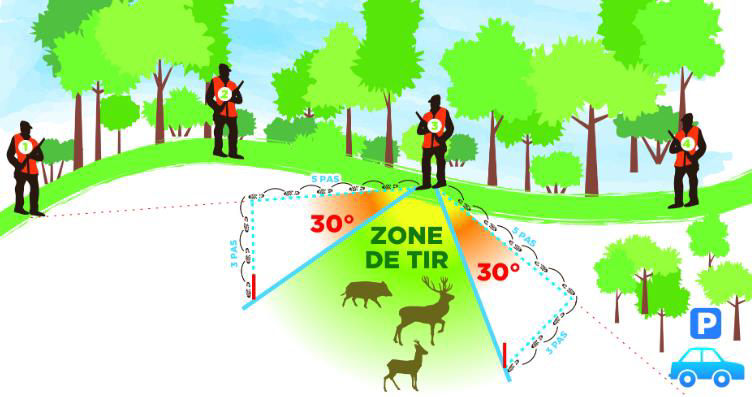 Bilan des accidents et incidents de chasse (Saison 2024 -2025)
