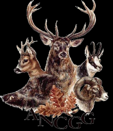 Rapport d&rsquo;Activité 2024