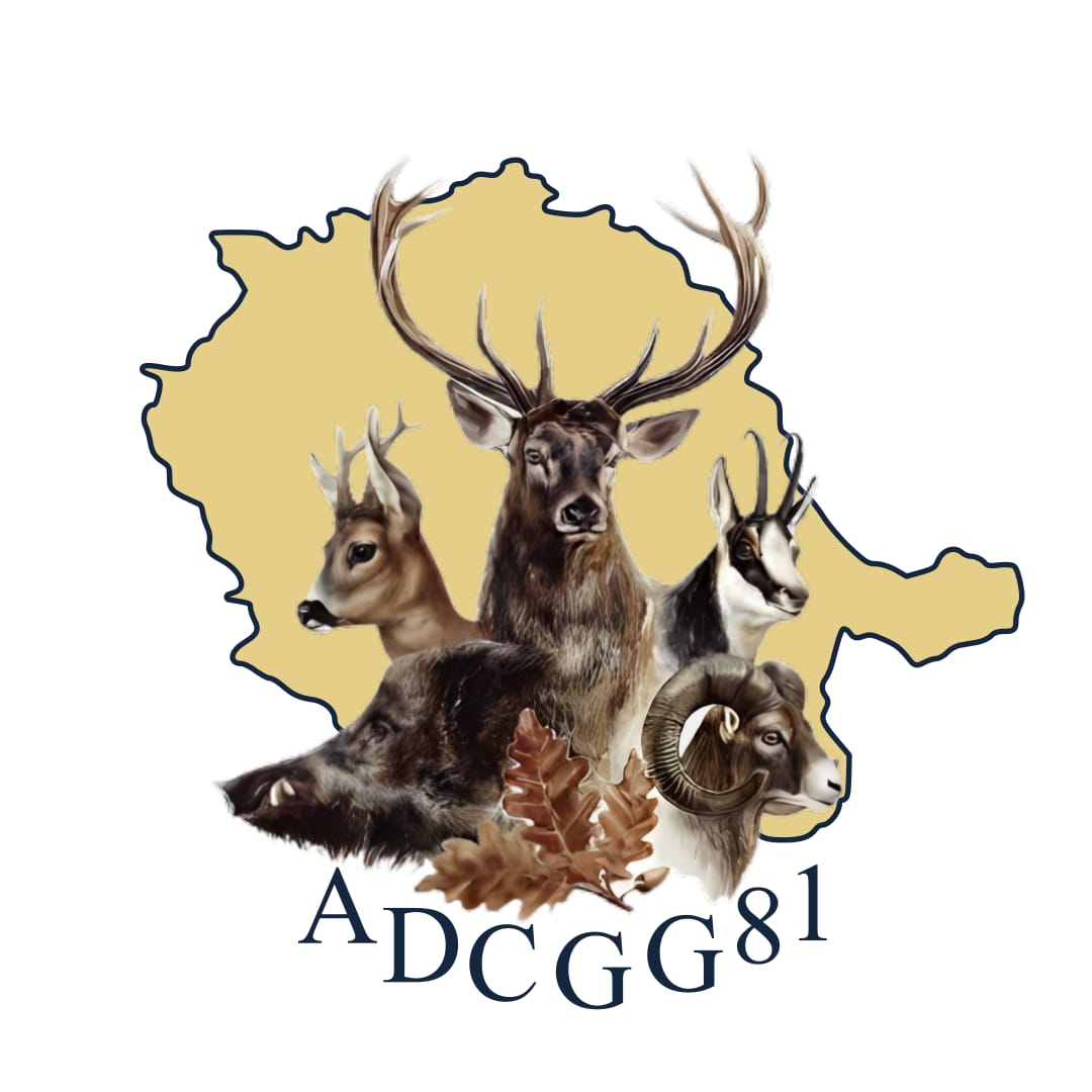 Association Départementale des Chasseurs de Grand Gibier du Tarn