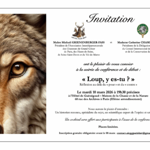 CARTON d'INVITATION