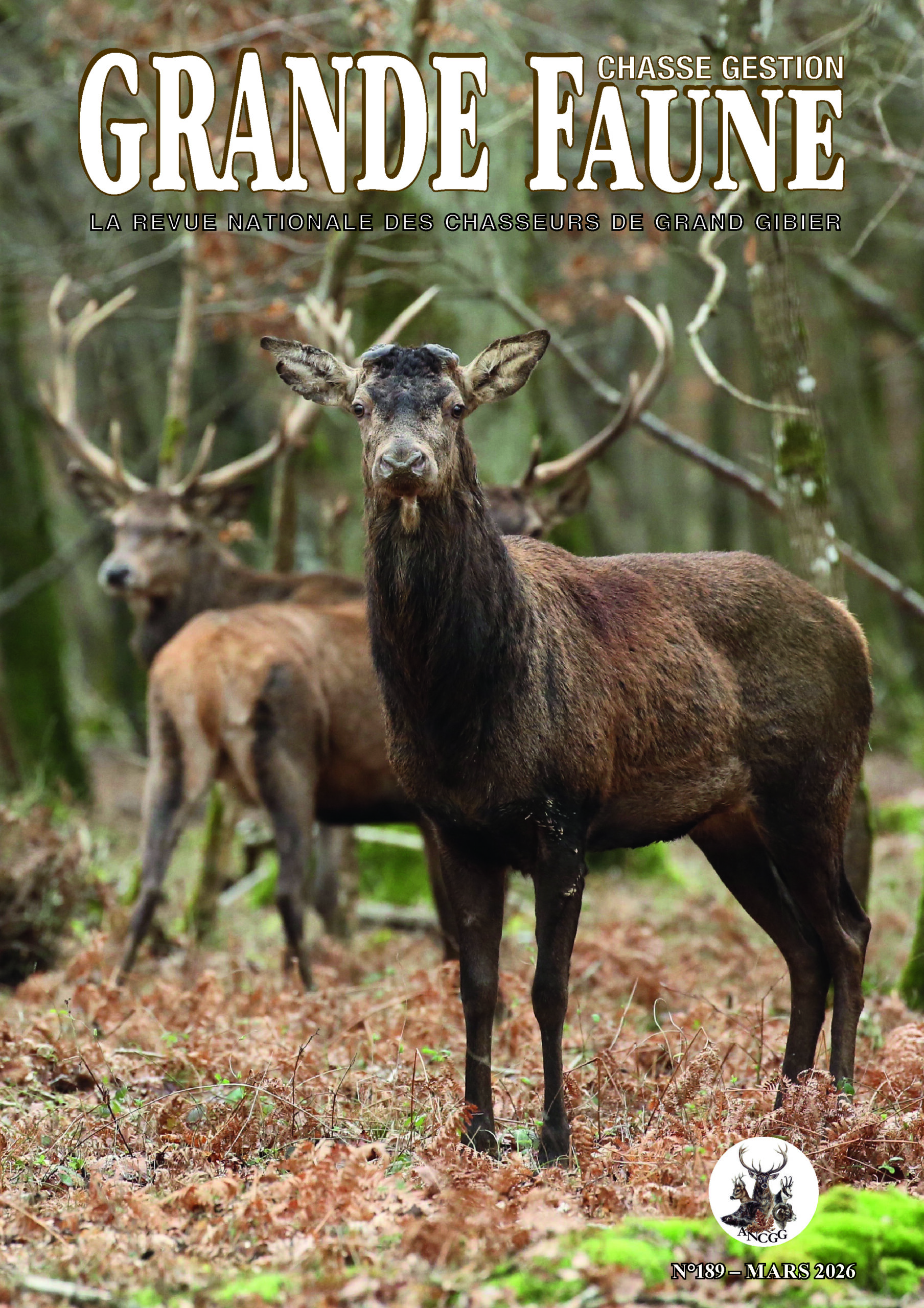 Sortie du numéro 189 de Grande Faune